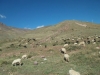 watermarked-PA121634