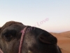 watermarked-PA142060
