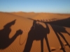 Sahara