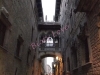 watermarked-p9133906