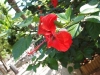 watermarked-p9093263