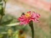 watermarked-PA111278